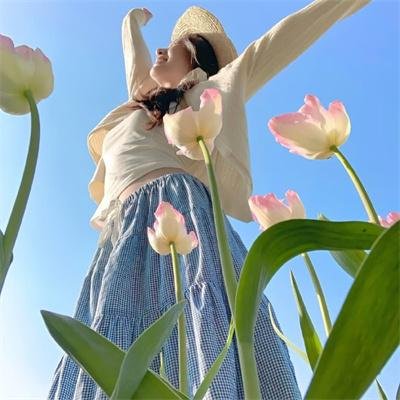 安全维纳斯